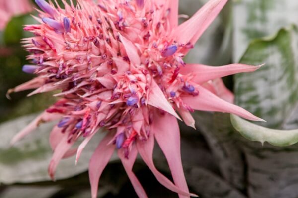 Simply Beautiful Garden & Agri Centre